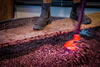 Plunging the ferment at Neudorf Winery in Nelson