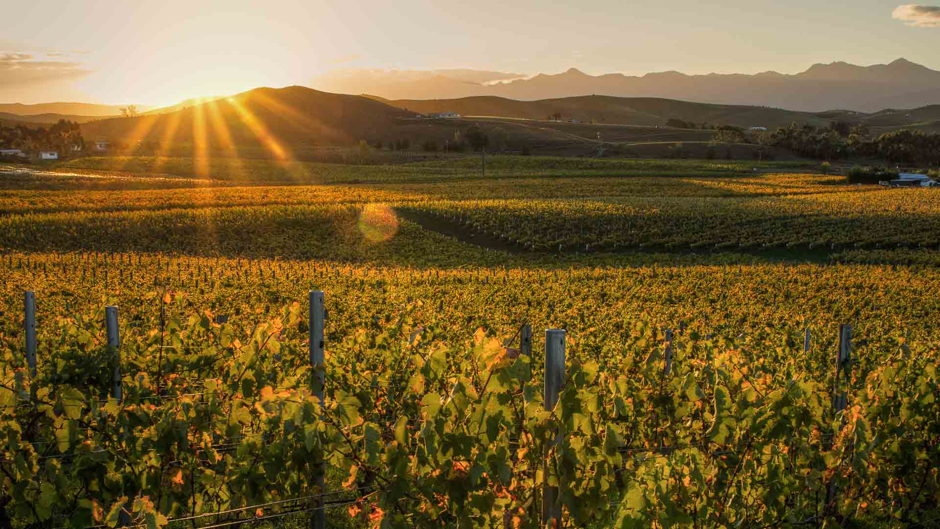 Marlborough Wines New Zealand