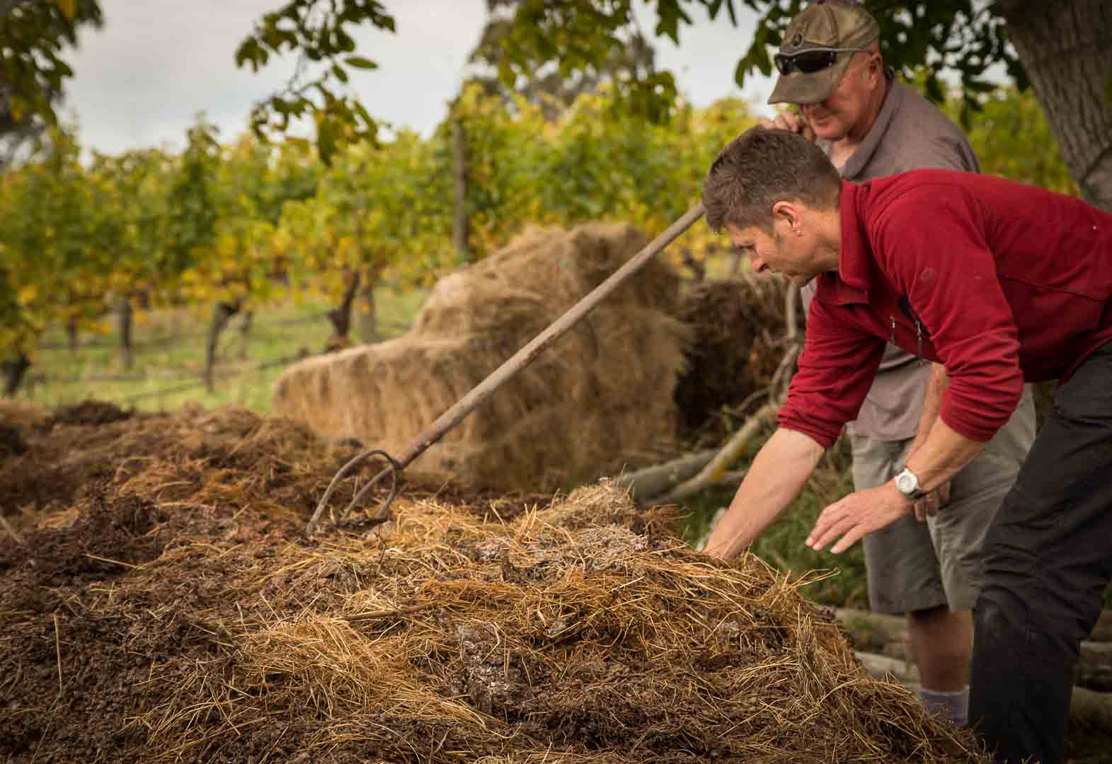 Seresin Estate Wines - Marlborough New Zealand