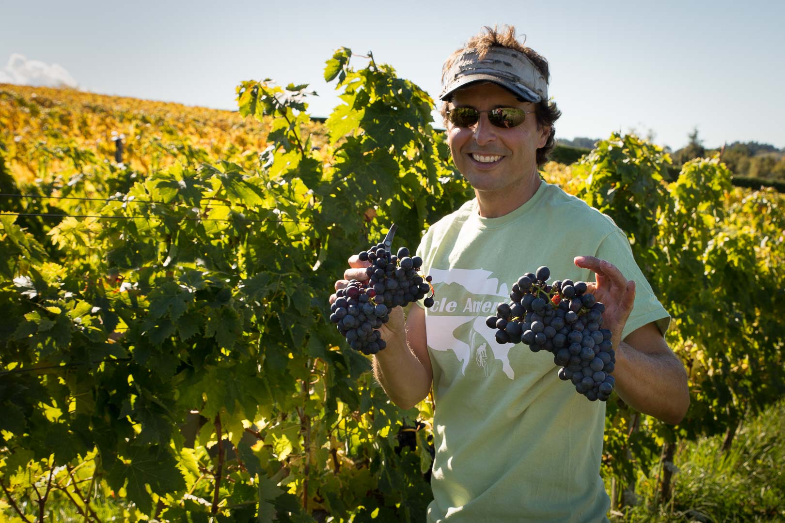 Blackenbrook Vineyard - Nelson