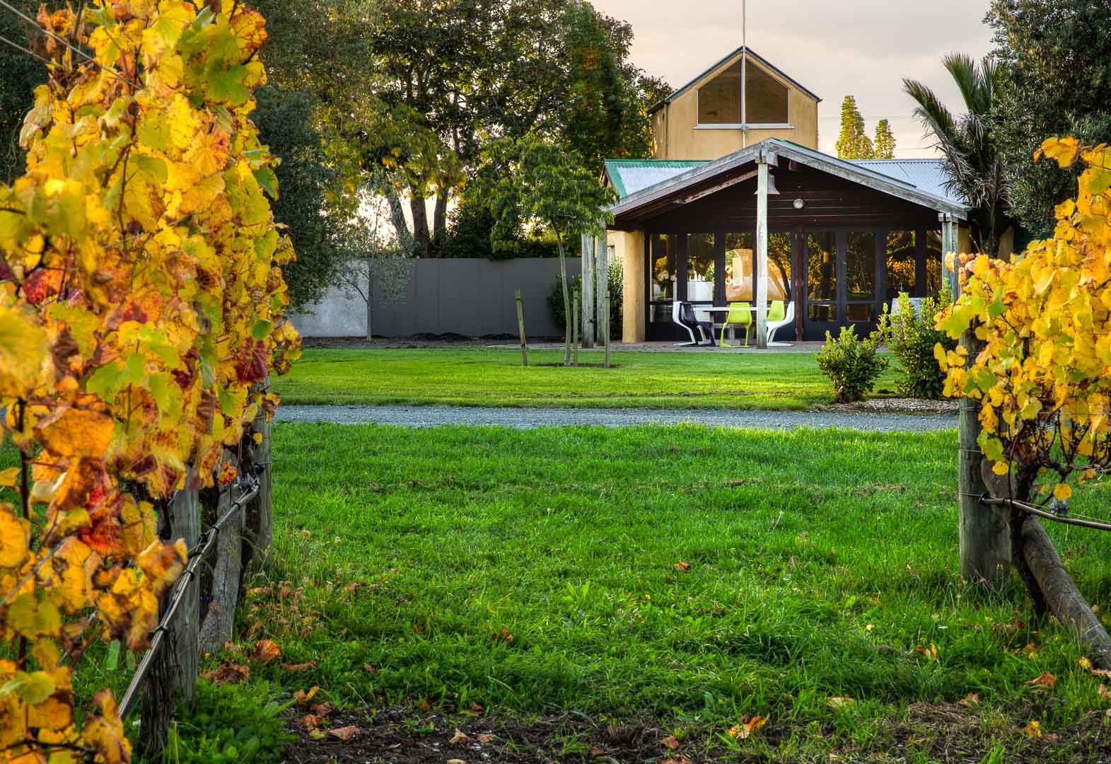 Greenhough Vineyards, Nelson