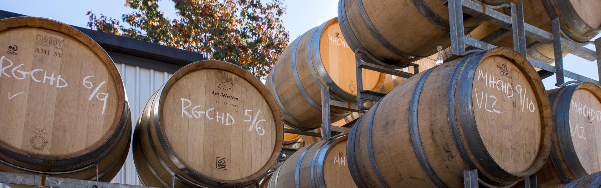 Barrels at Neudorf Vineyards, Nelson