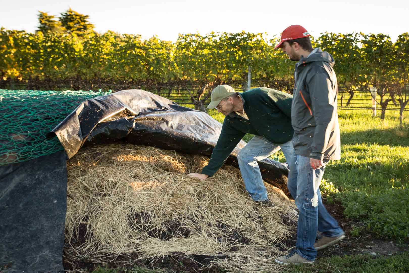 Orgainc Composting, Richmond Plains, Nelson