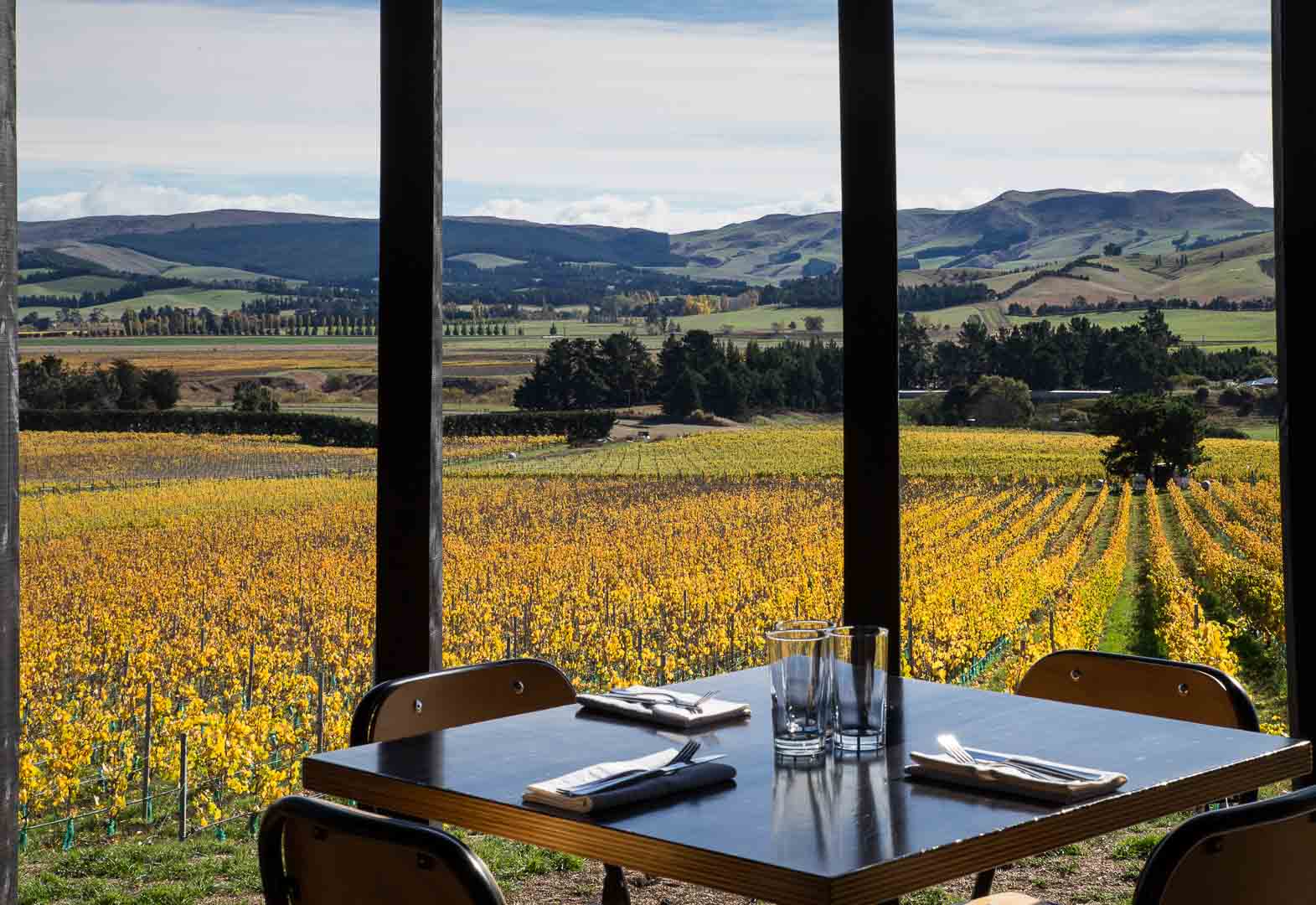 Black Estate Vineyard Waipara