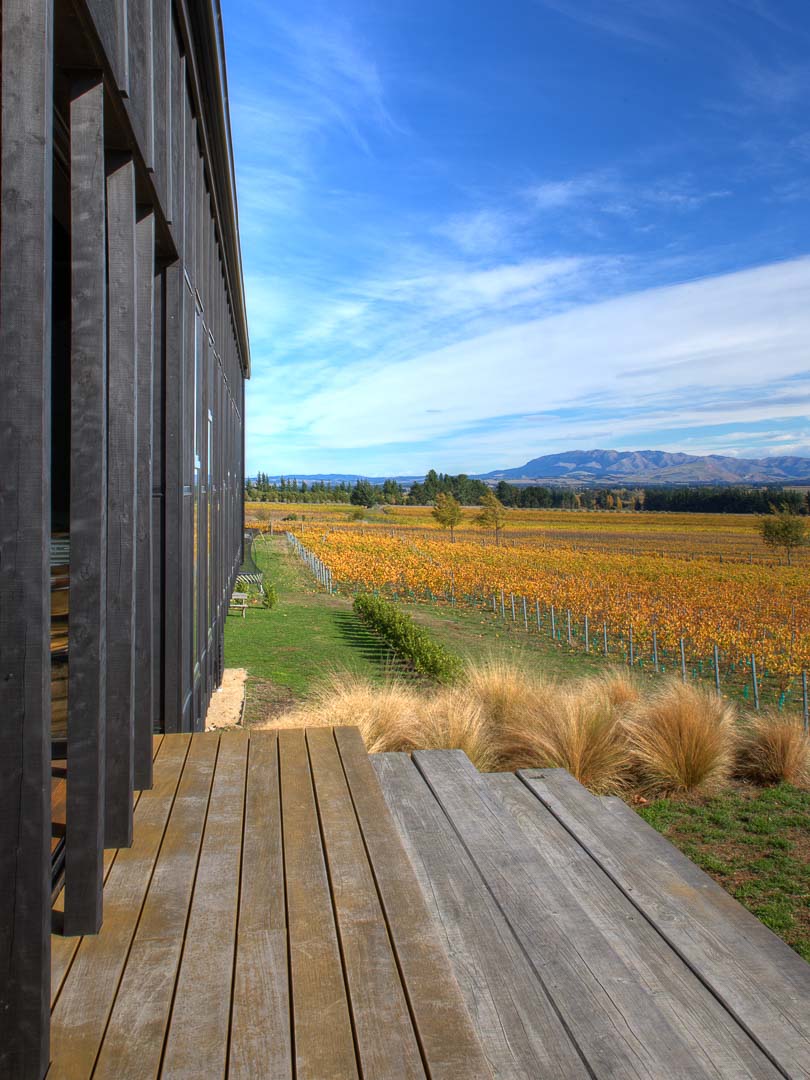 Black Estate Vineyard Waipara