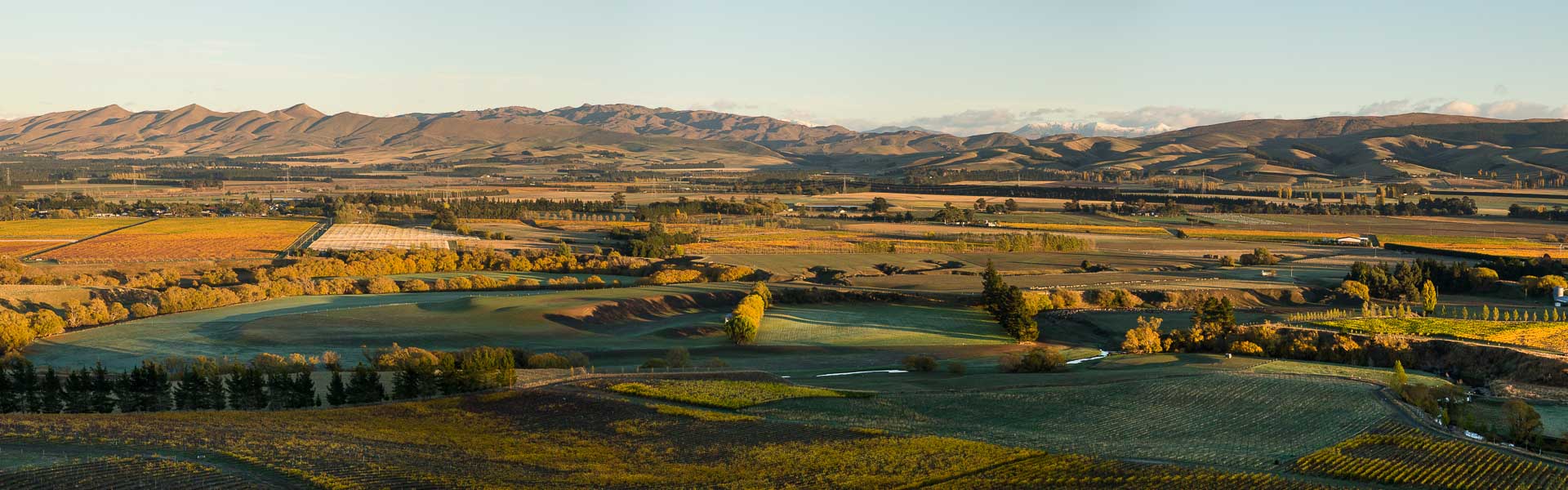 Waipara-Wine-New Zealand